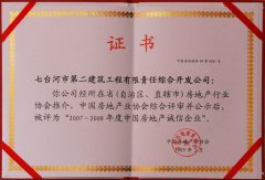 2009年度中国房地产诚信企业证书
